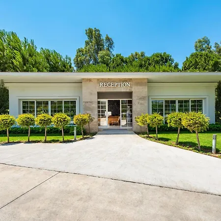 Azure By Cornelia Villa *