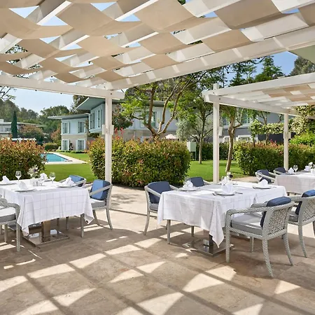 Azure By Cornelia Villa *