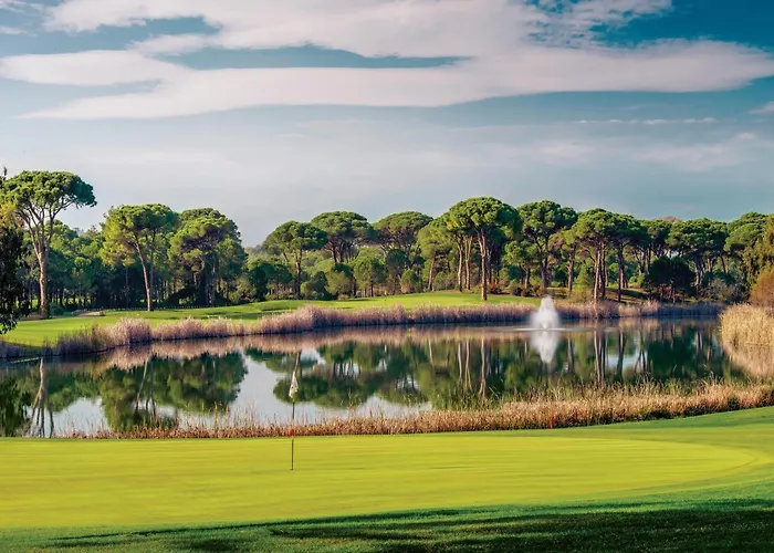 فيلة Azure By Cornelia