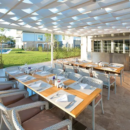 Azure By Cornelia Belek