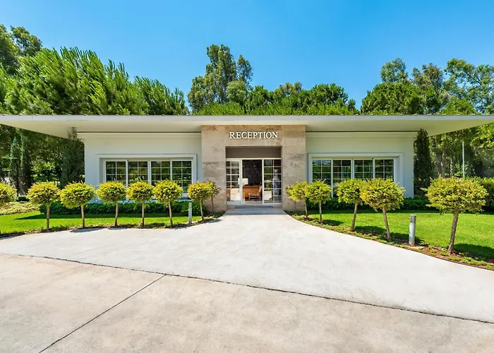 Azure By Cornelia Willa *