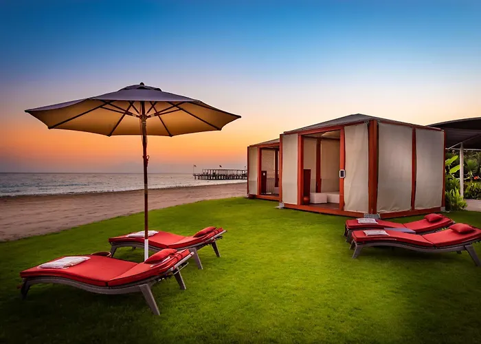 Azure By Cornelia Willa Belek